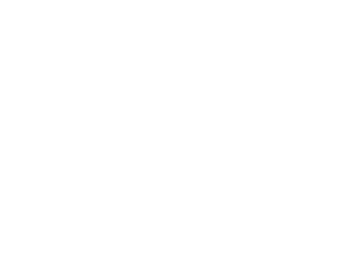 icons services php
